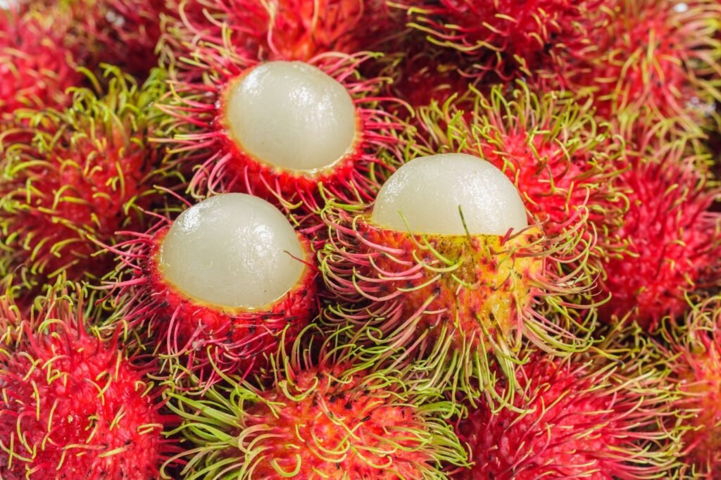 Belajar kosakata bahasa Polandia bersama Polandnesia - rambutan dalam bahasa Polandia