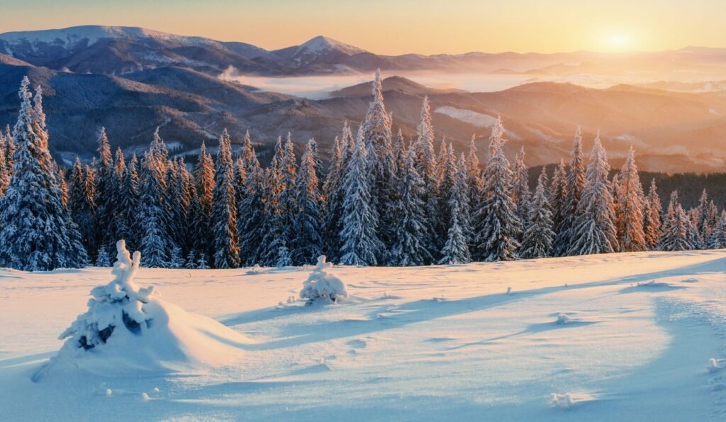 Belajar kosakata bahasa Polandia bersama Polandnesia - salju