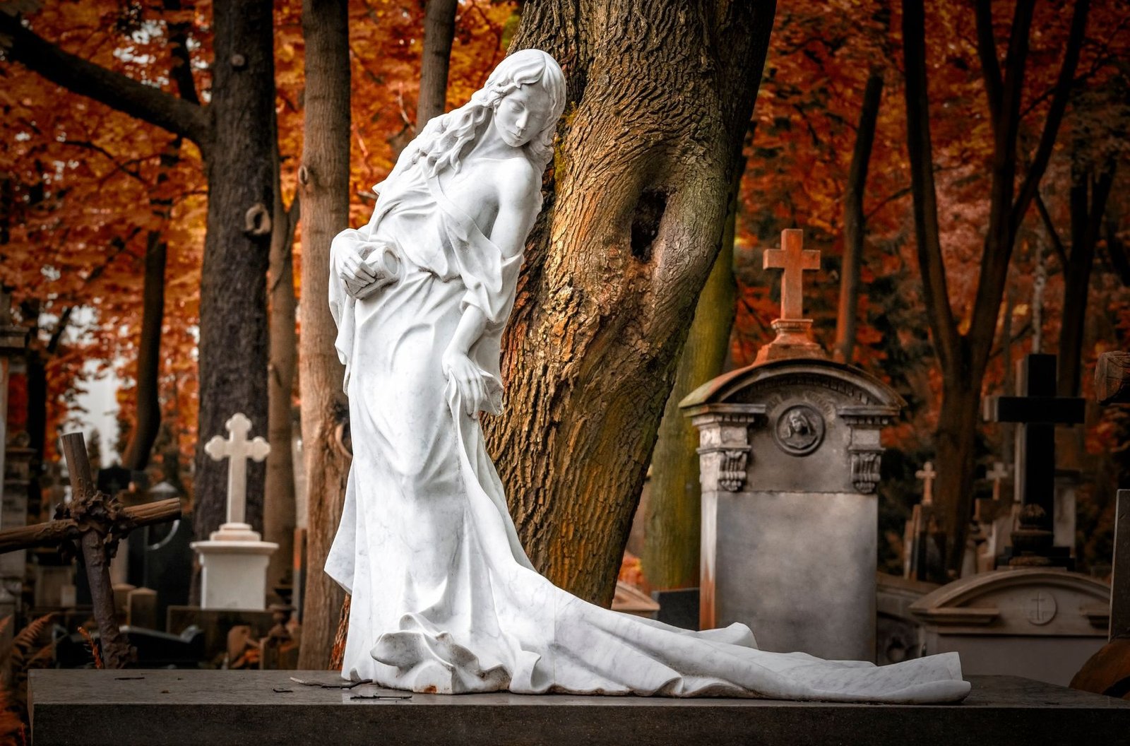 Polandnesia - sekolah bahasa Polandia untuk orang Indonesia