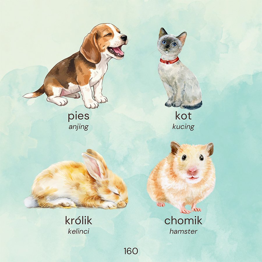 Kosakata bahasa Polandia - kamus visual untuk Pemula